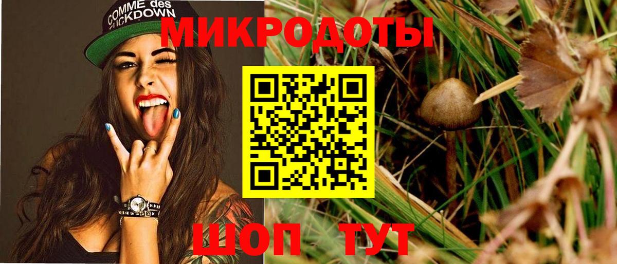 Галлюциногенные грибы GOLDEN TEACHER Назрань