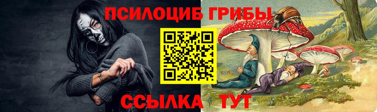 Назрань  Галлюциногенные грибы ЛСД  Вход с VPN 